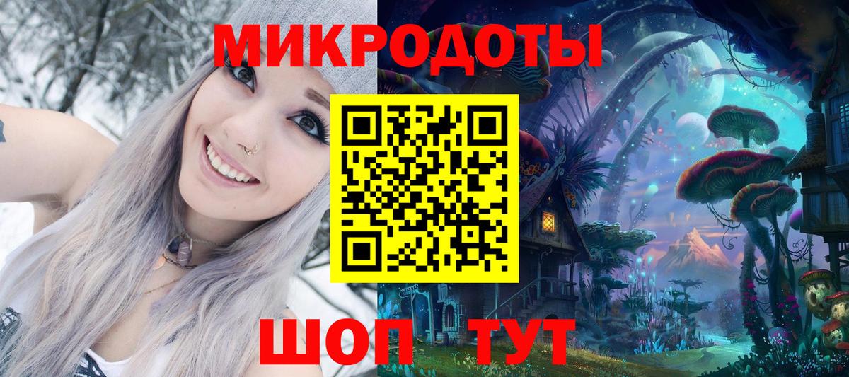 Галлюциногенные грибы Psilocybine cubensis Северобайкальск